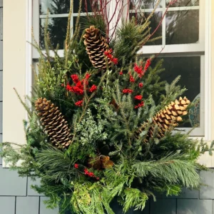 Jumbo Spruce Tip Pot Kit