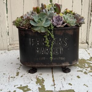 Farmer's Market Succulent Garden