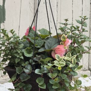 Porch Perfect Hanging Basket