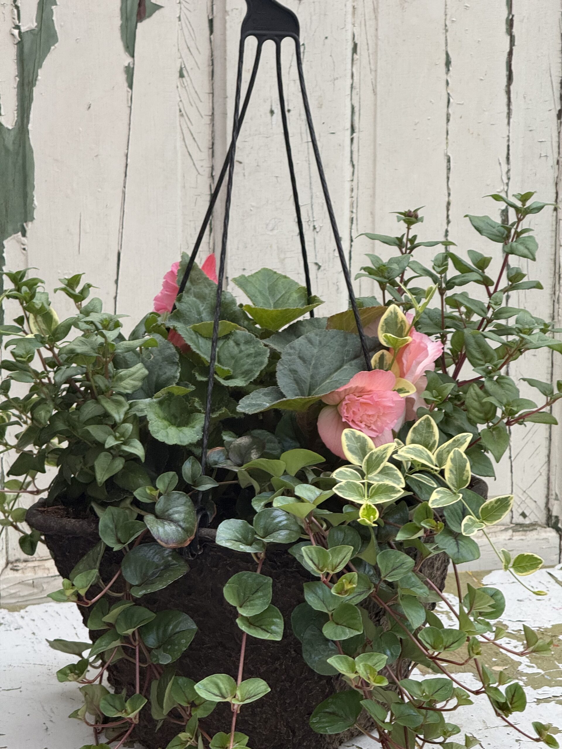 Porch Perfect Hanging Basket