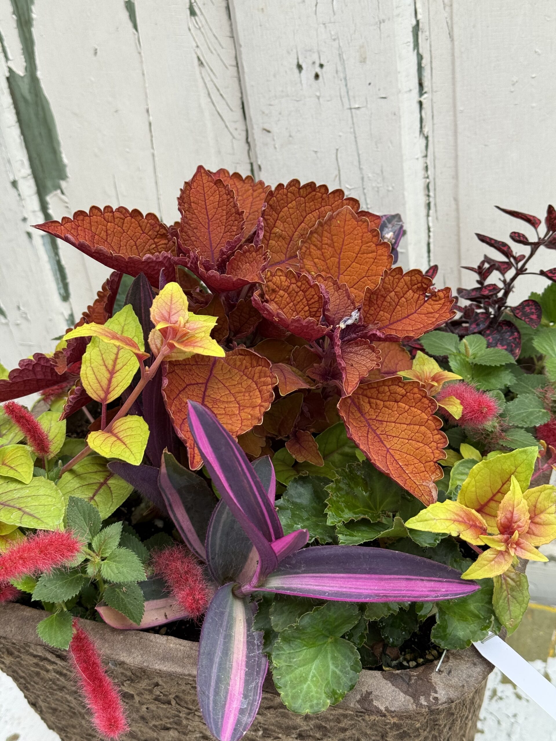 Effortless Garden Planter