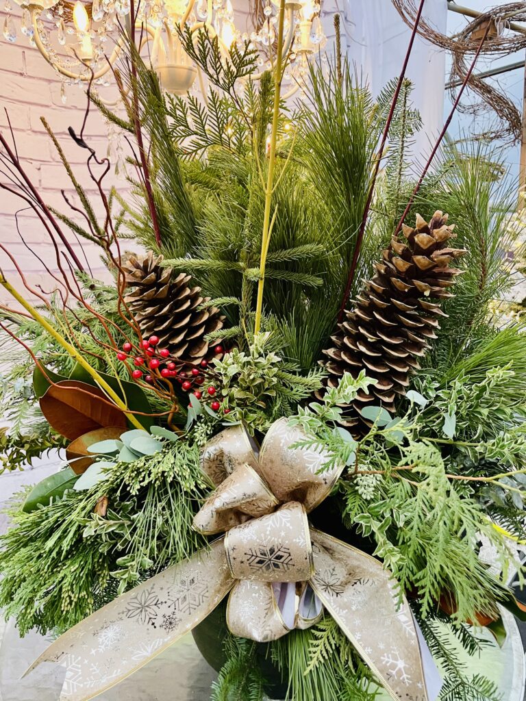 Spruce tip holiday pot created at Kelly's Cottage Garden